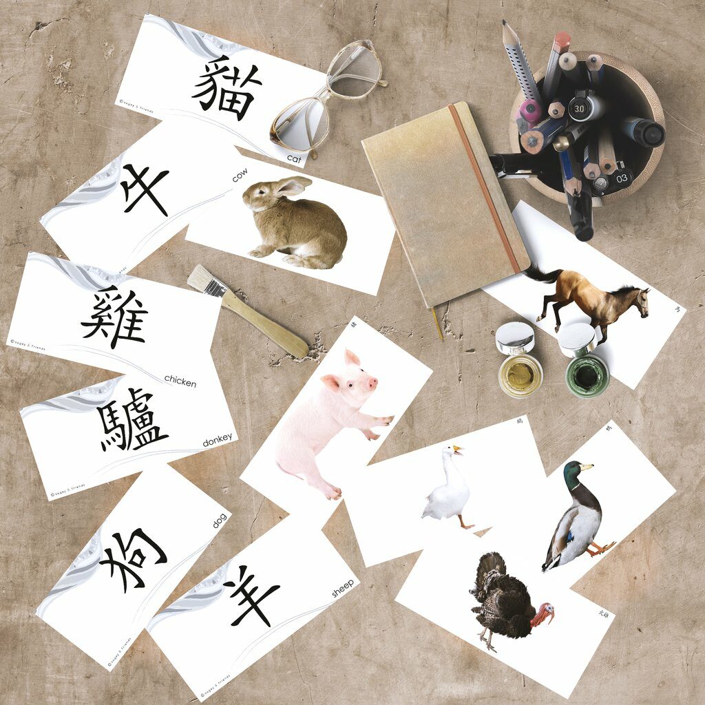 Les Mots Chinois De Base Apprendre En Premier Quand On D Bute