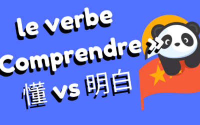 Le verbe comprendre en chinois – La différence entre 知道，了解，明白 et 懂