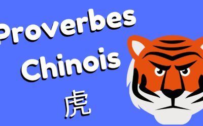 Le caractère du tigre en 7 proverbes chinois