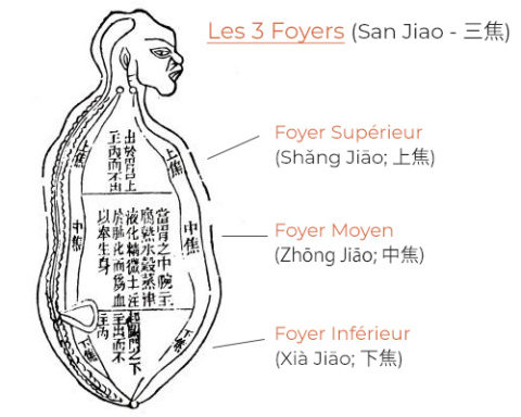 Ce Que La Médecine Traditionnelle Chinoise Nous Révèle Sur L’énergie Qi (气)