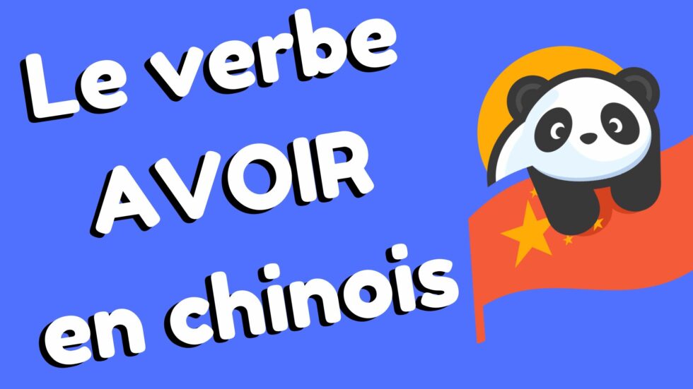 Avoir en chinois