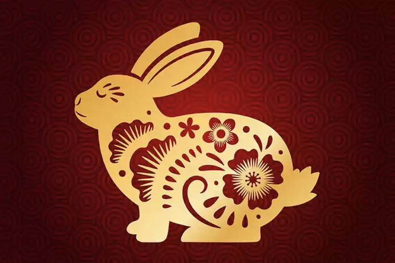 Année du lapin : guide culturel & astrologique chinois