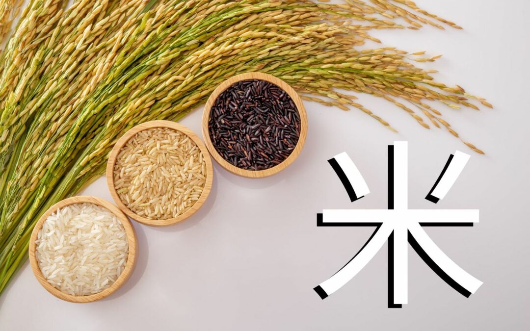 Comment dire riz en chinois – Origine et traduction du mot 米 (mǐ)