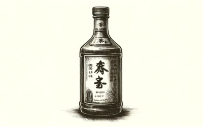 Comment dire alcool en chinois – Origine et traduction du mot 酒 (jiǔ)
